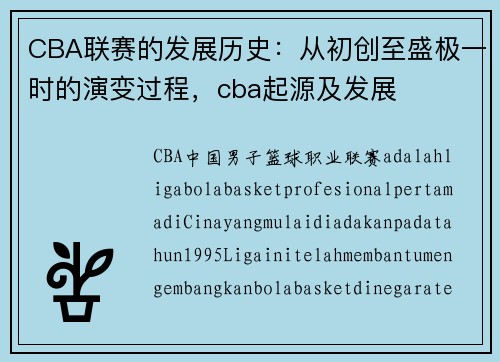 CBA联赛的发展历史：从初创至盛极一时的演变过程，cba起源及发展