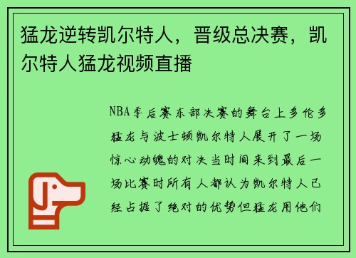 猛龙逆转凯尔特人，晋级总决赛，凯尔特人猛龙视频直播