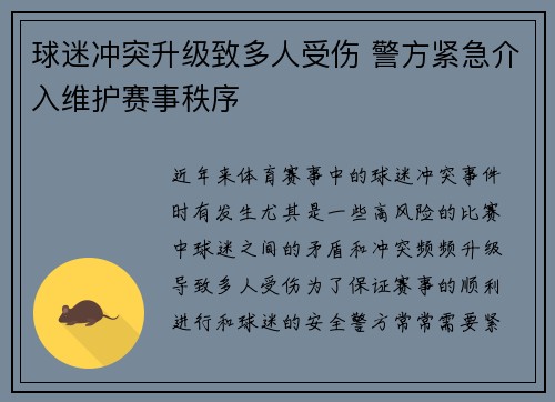 球迷冲突升级致多人受伤 警方紧急介入维护赛事秩序