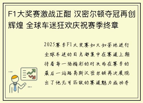 F1大奖赛激战正酣 汉密尔顿夺冠再创辉煌 全球车迷狂欢庆祝赛季终章